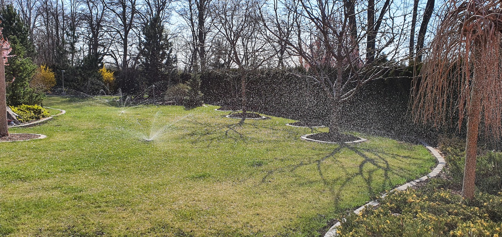 Automatická závlaha – Brno